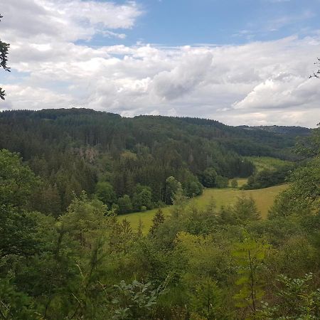 Altes Schreiner Haus In Der Vulkaneifel Brockscheid Buitenkant foto