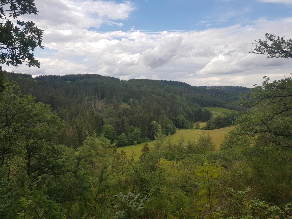 Altes Schreiner Haus In Der Vulkaneifel Brockscheid Buitenkant foto